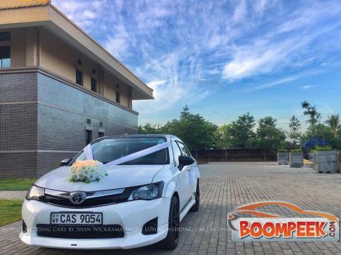 Wedding Cars For Hire  Car For Rent