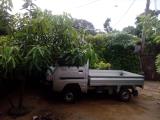 Suzuki Super carry Truck Lorry (Truck) For Rent