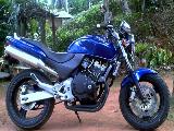 2008 Honda -  Hornet 250 chassis 115 Motorcycle For Sale.