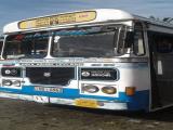 2011 Ashok Leyland Viking Ruby Bus For Sale.